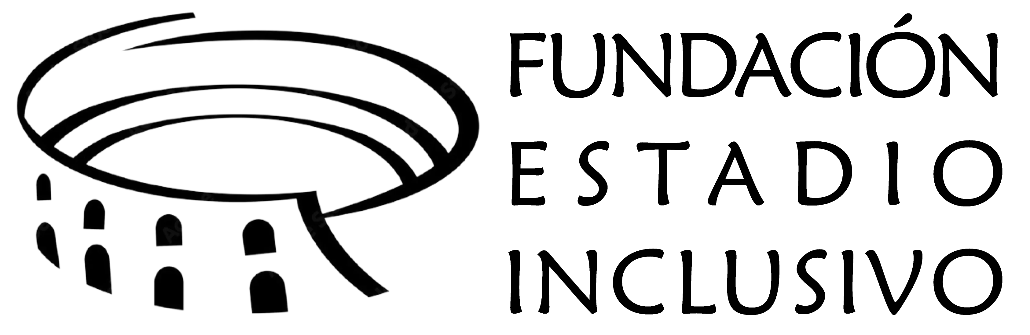 Fundación Estadio Inclusivo